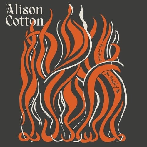 Cotton, Alison - Portrait You Painted Of Me