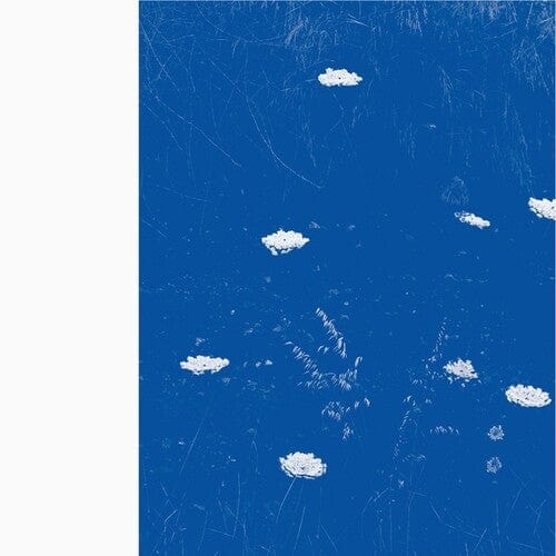 Merzbow - Flare Blues