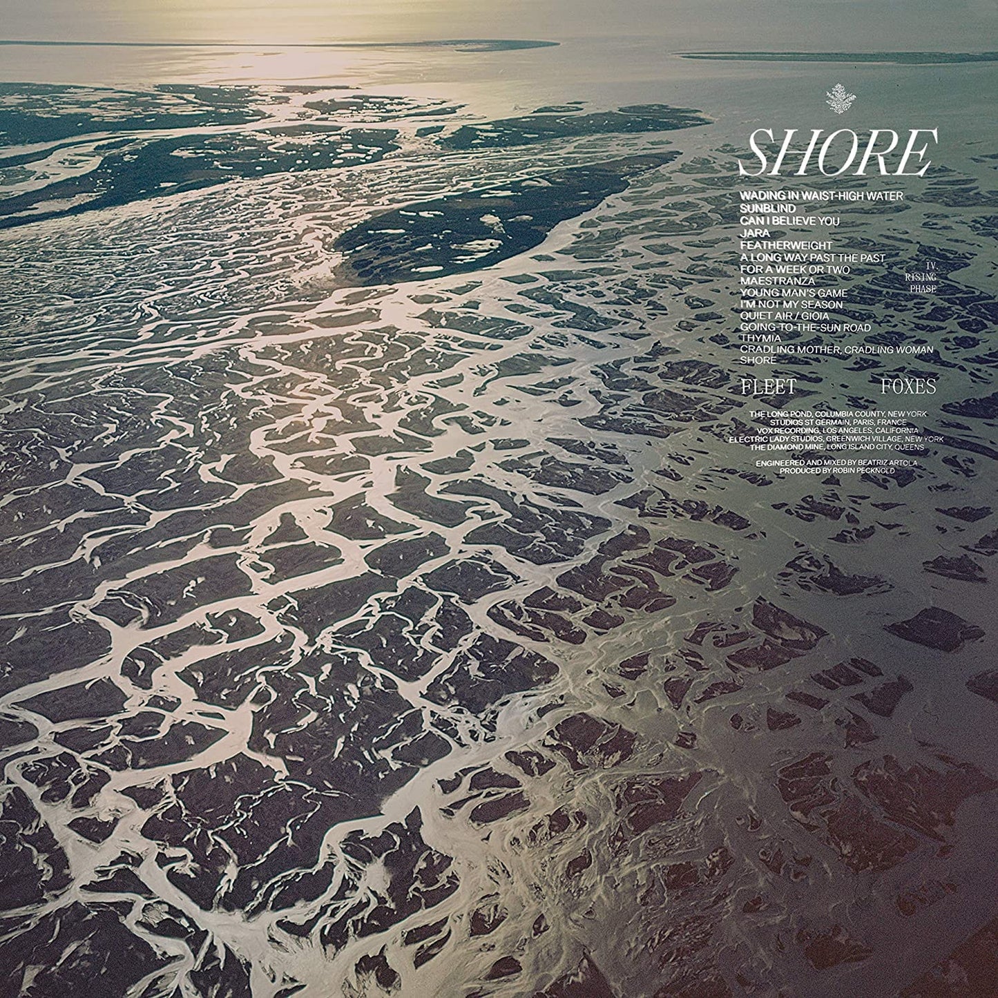 Fleet Foxes - Shore - Black Vinyl