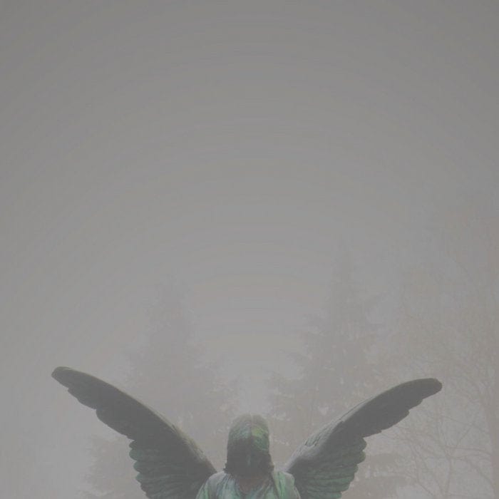 Jesu - Pity / Piety