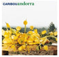 Caribou - Andorra, 15th Anniversary, White Colored Vinyl [Import]