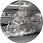 Rage Against the Machine - Rage Against the Machine: 20th Anniversary Edition - Picture Disc