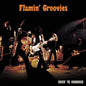 Rockin' The Roundhouse - Orange - Flamin' Groovies (Colored Vinyl, Orange, Bonus Vinyl)
