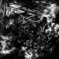 Full Of Hell - Suffocating Hallucination
