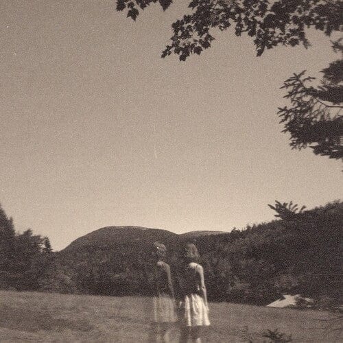 Goldmund - Malady Of Elegance
