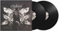 Jason Bieler and the Baron Von Bielski Orchestra - Postcards From the Asylum