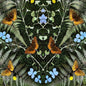 Jean-Michel Blais - Aubades [Import]
