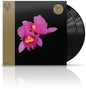 OPETH - Orchid