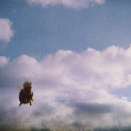 Pond - Stung! (IEX) [Explicit Content] (Colored Vinyl)