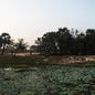 Korwar, Sarathy - Kalak