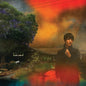 Van Etten, Sharon - We've Been Going About This All Wrong, Marbled Smoke Vinyl