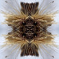 Yakuza - Sutra