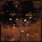 Szun Waves - Earth Patterns