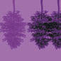 Jone Takamaki, Umut Caglar, Fahrettin Aykut - Myth of The Drum Urban Transformation